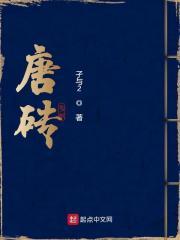 唐砖封面